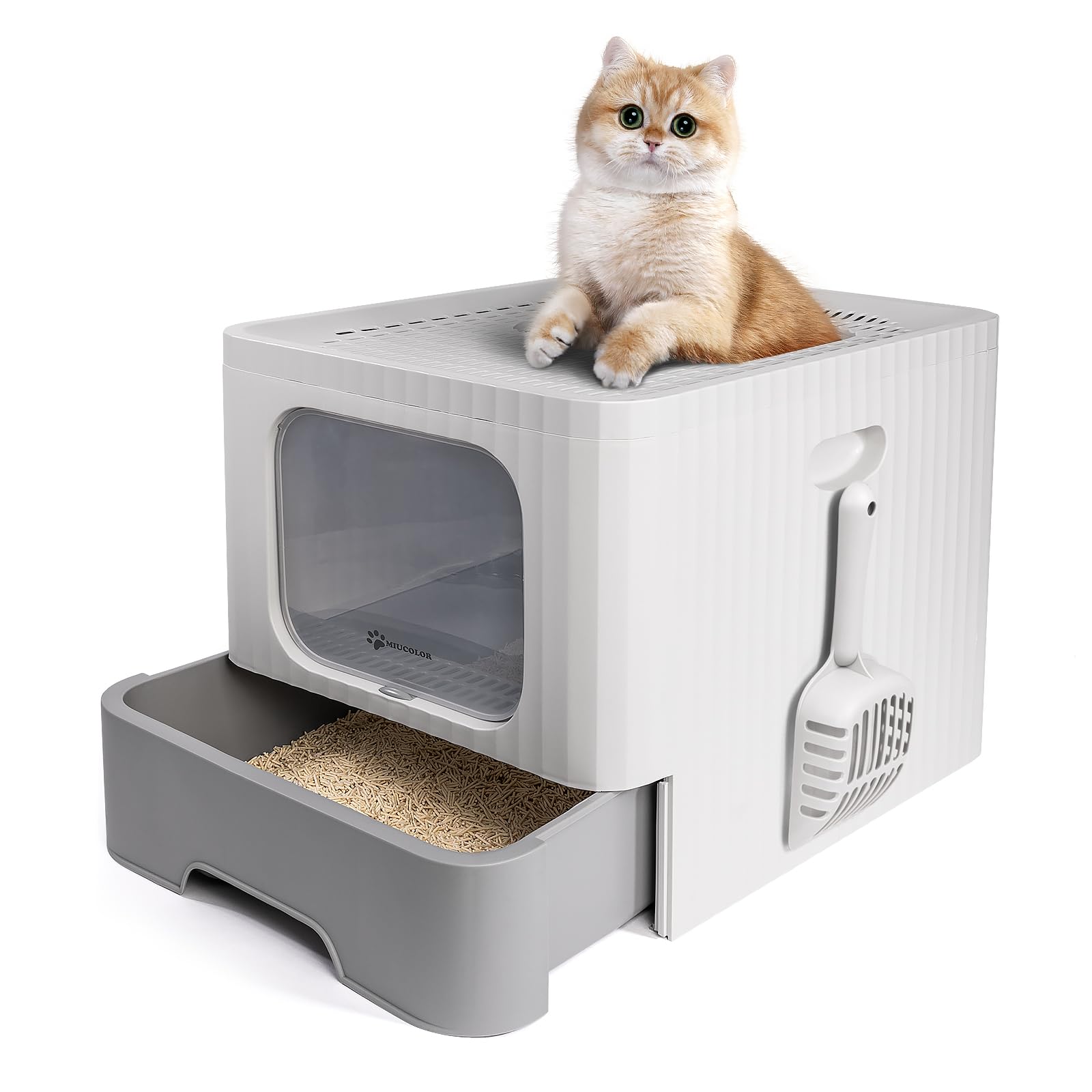 MIU COLOR Enclosed Cat Litter Box – miucolorstore