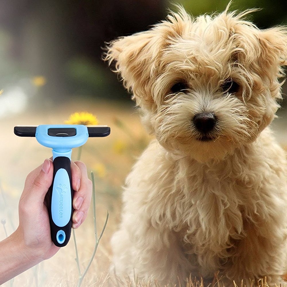 Miupet Grooming Brush Leaves a shiny and healthy topcoat